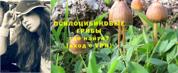 мяу мяу мука Балахна
